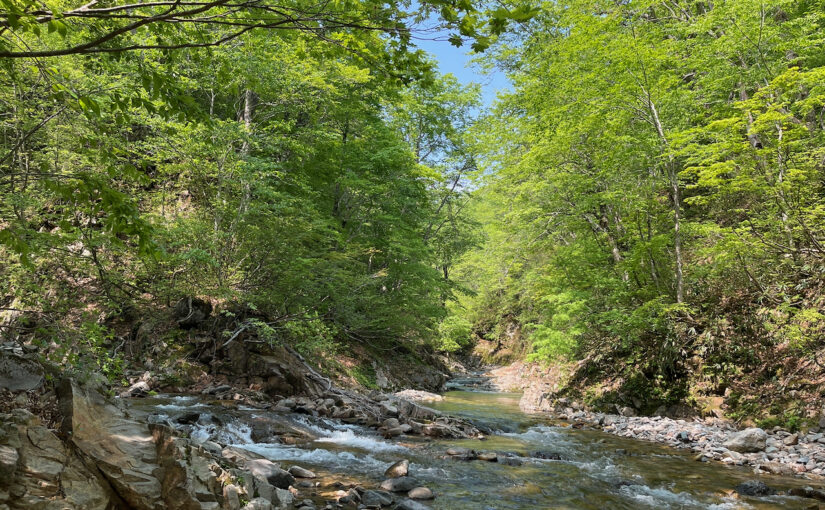 葛根田〜乳頭山と千沼ヶ原2025残雪の候 day2