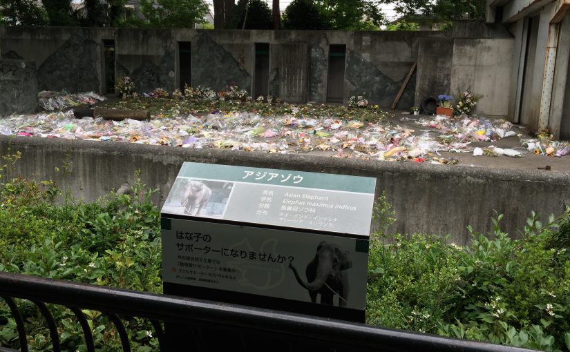 はな子を悼む